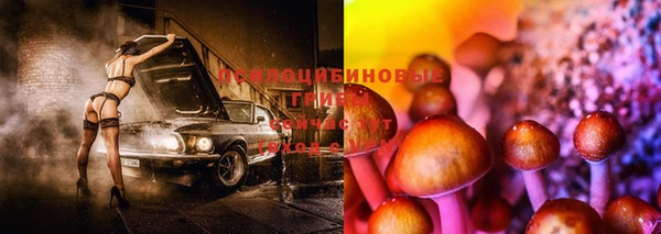 мдма Медвежьегорск